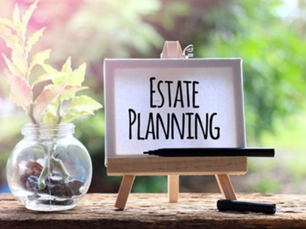 Photo of a hand-written sign on a stand, next to potted tree stems.
